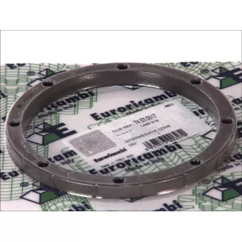 Synchronisateur, boîte de vitesse manuelle EURORICAMBI