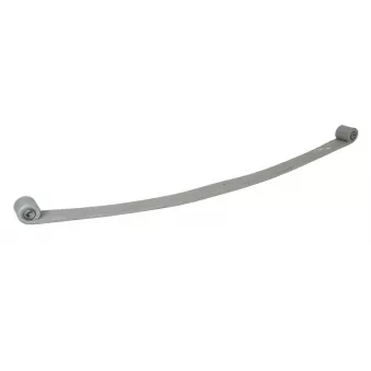 Lame de suspension TES