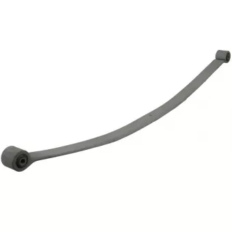 Lame de suspension TES