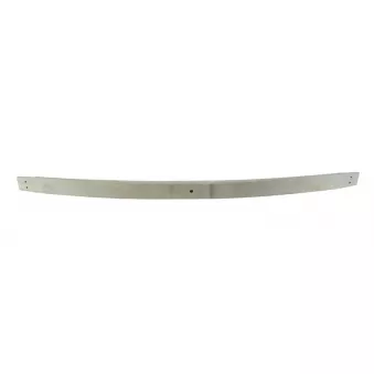 Lame de suspension TES