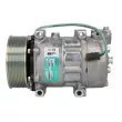 Compresseur de climatisation SANDEN SD7H15-8295 - Visuel 1