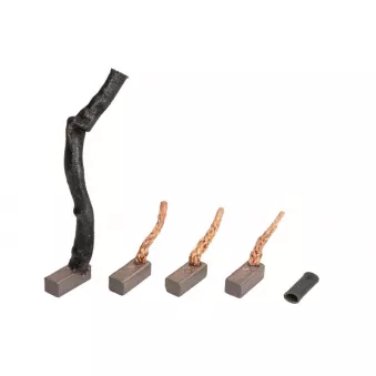 Charbon du démarreur MAGNETI MARELLI