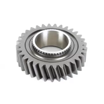 Pignon de boîte de vitesses EURORICAMBI