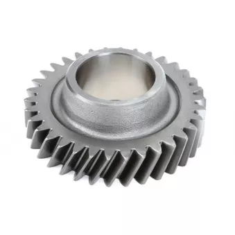 Pignon de boîte de vitesses EURORICAMBI