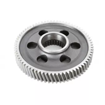 Pignon de boîte de vitesses EURORICAMBI