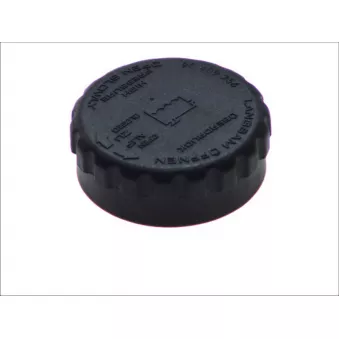 Bouchon de radiateur BLAU K8