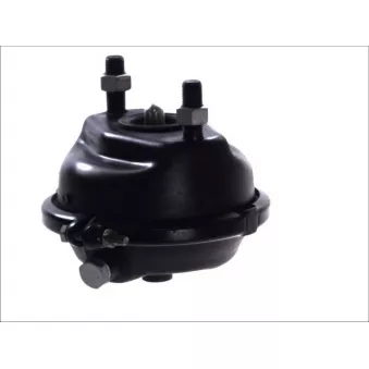 Cylindre de roue à diaphragme AUGER 21007