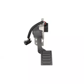 Pédale d'accélérateur AKUSAN