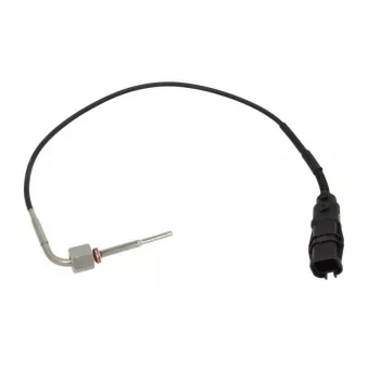 Palpeur, température des gaz AKUSAN