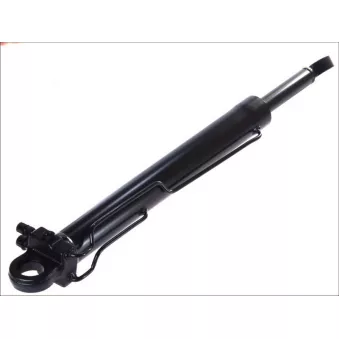 Pompe de basculement, cabine AKUSAN TEQ-03.046