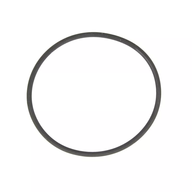 Bague d'étanchéité LEMA 124548