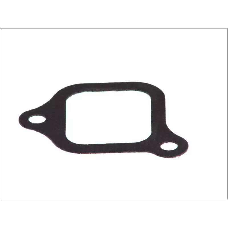 Joint d'étanchéité, collecteur d'admission LEMA 21045.00
