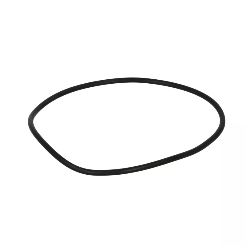 Bague d'étanchéité LEMA 104755
