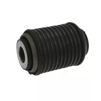 Suspension, recours à lames LEMA