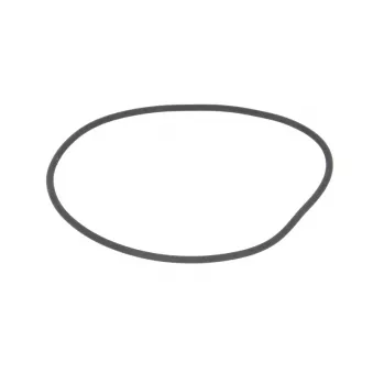 Bague d'étanchéité LEMA