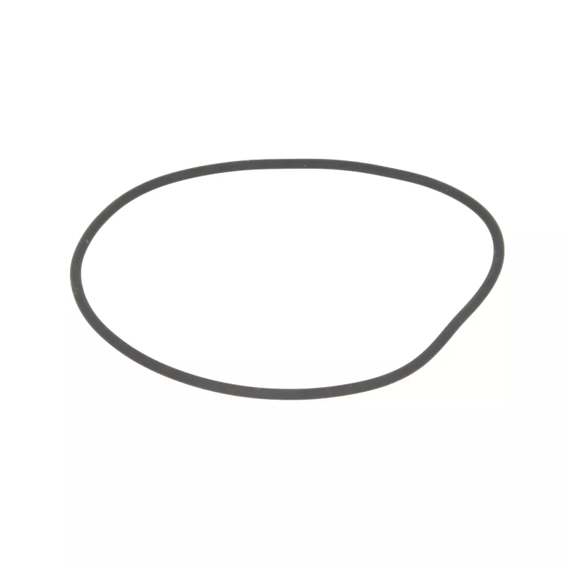 Bague d'étanchéité LEMA 124765