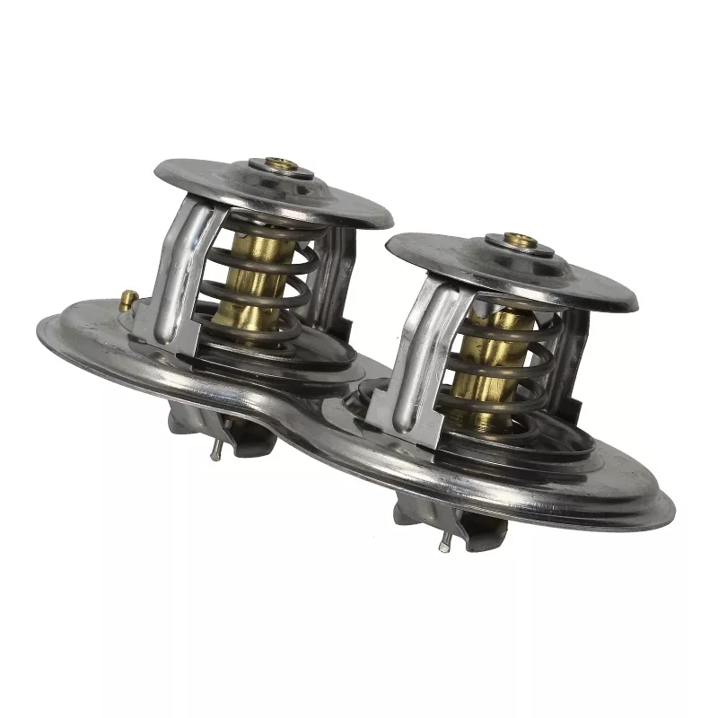 Thermostat d'eau LEMA 425175