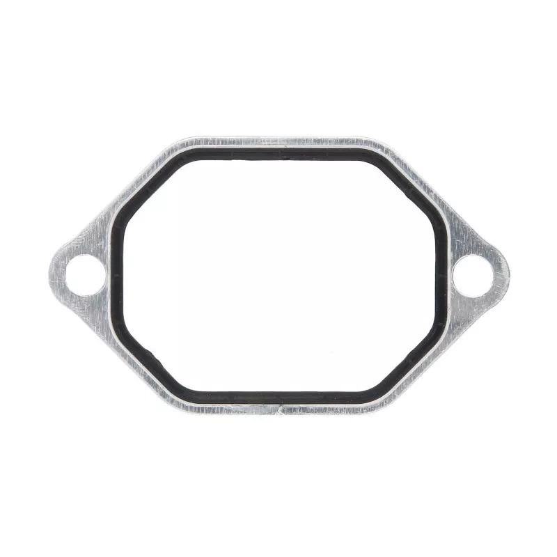 Joint d'étanchéité, carter de collecteur d'admission LEMA 21400.51