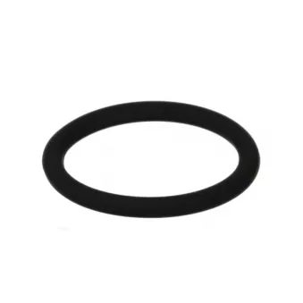 Bague d'étanchéité LEMA