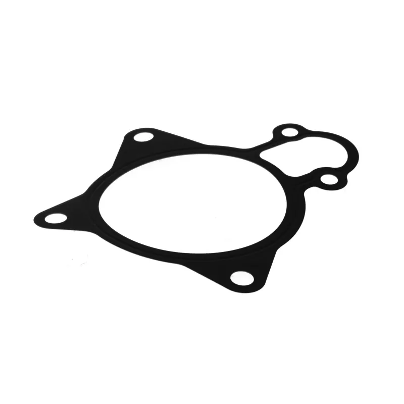 Joint d'étanchéité, pompe à eau LEMA 24018.05