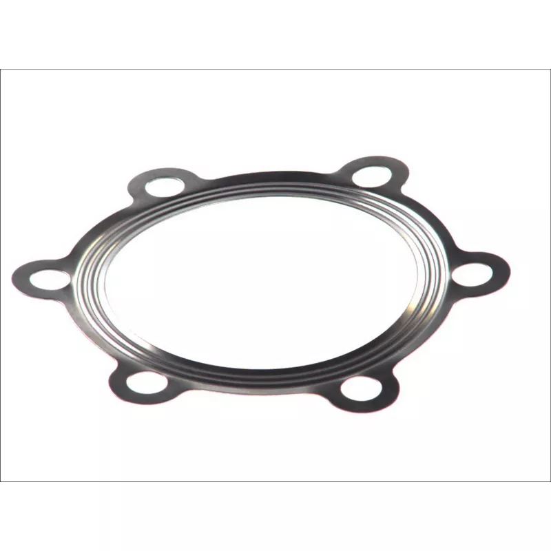 Joint d'étanchéité, couvercle de carter de distribution LEMA 21857.00