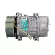 Compresseur de climatisation SANDEN SD7H15-8263 - Visuel 1