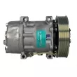 Compresseur de climatisation SANDEN SD7H15-6093 - Visuel 1