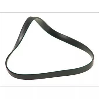 Joint d'étanchéité, chemise de cylindre LEMA 20955.00