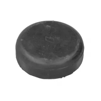 Suspension, ressort à lames LEMA