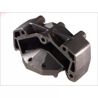 Suspension, boîte de vitesse manuelle LEMA 1466.03