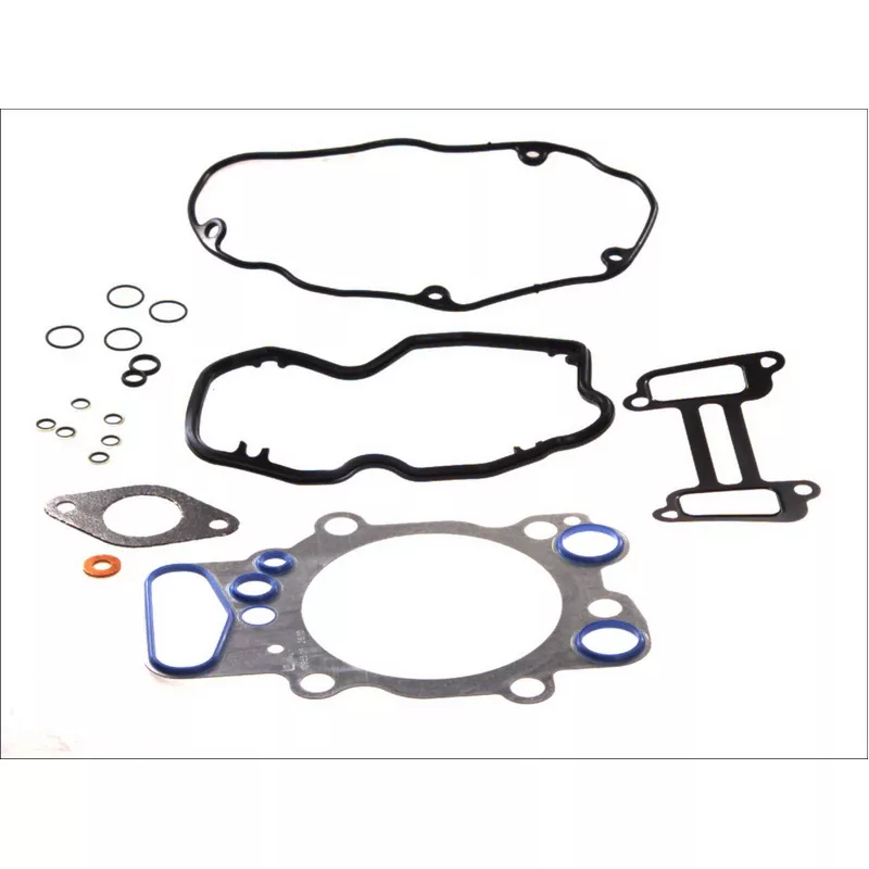 Jeu de joints d'étanchéité haut moteur LEMA 47105.05