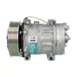 Compresseur de climatisation SANDEN SD7H15-6028E - Visuel 1