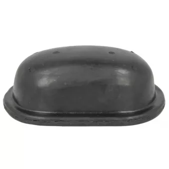 Suspension, ressort à lames LEMA