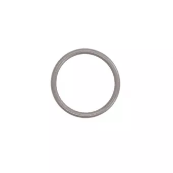 Joint de pompe à eau LEMA