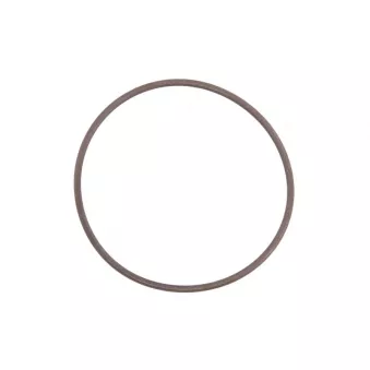 Joint de pompe à eau LEMA