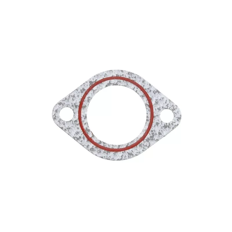 Joint de pompe à eau LEMA 24025.00