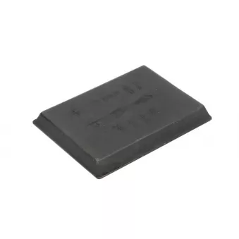 Suspension, recours à lames LEMA