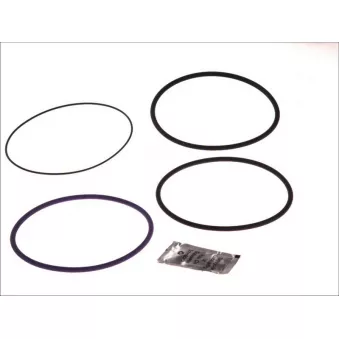 Jeu de joints d'étanchéité, chemise de cylindre LEMA