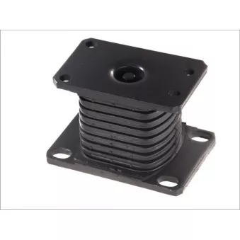 Suspension, ressort à lames LEMA 1696.21