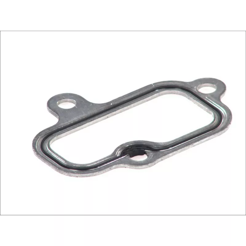 Joint d'étanchéité, carter de distribution LEMA 21400.05