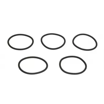 Joint différentiel LEMA