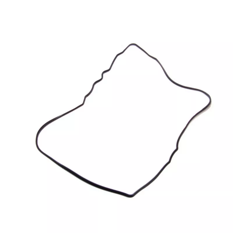 Joint d'étanchéité, carter de distribution LEMA 20806.61