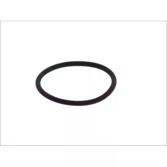 Bague d'étanchéité LEMA