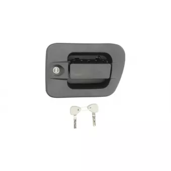 Poignée de porte COVIND 540/193