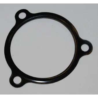 Joint d'étanchéité, boîtier du thermostat WAHLER