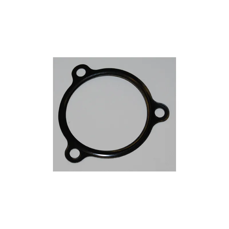 Joint d'étanchéité, boîtier du thermostat WAHLER 118996