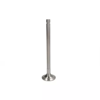 Soupape d'échappement PARADOWSCY PDAF032