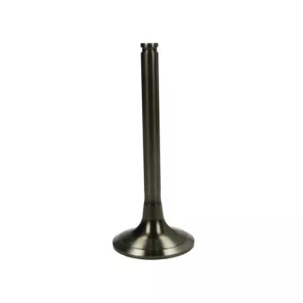 Soupape d'admission PARADOWSCY