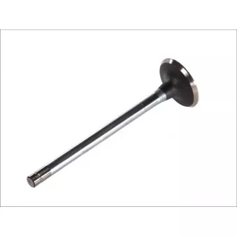 Soupape d'échappement PARADOWSCY