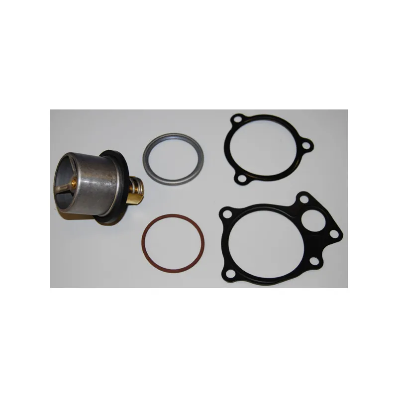 Thermostat d'eau WAHLER 410608.86D